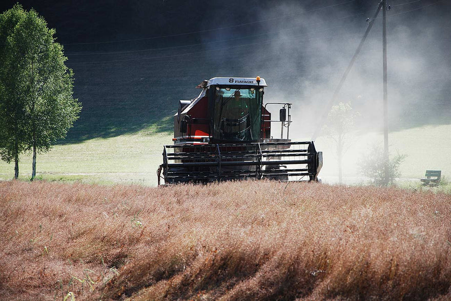 Von der Saat bis zur Ernte