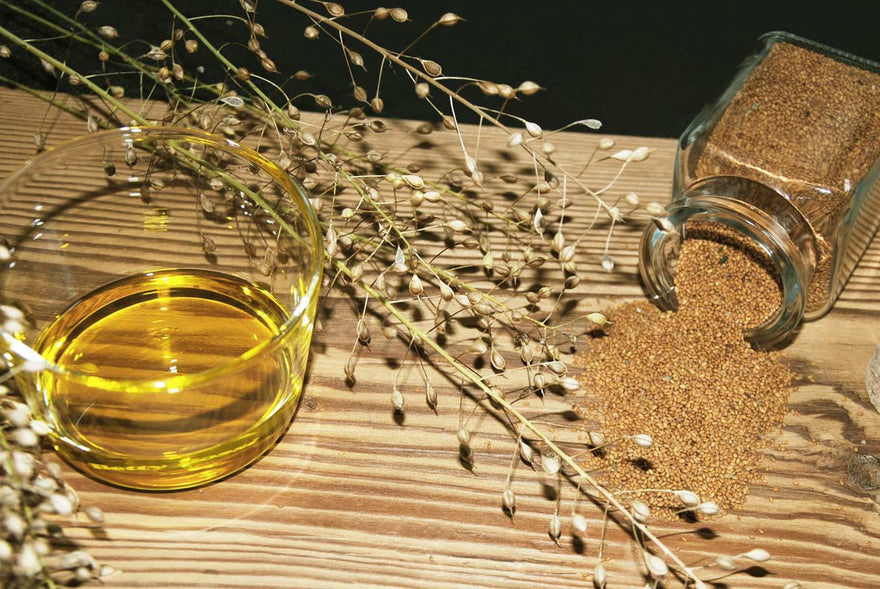 Wertvolle Samen - Wertvolles Öl