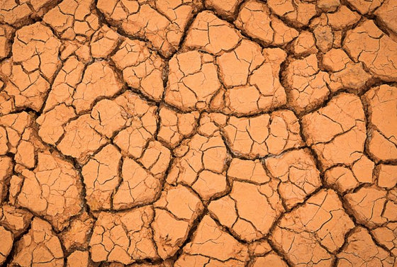 Wenn die Haut trocken und spröde ist...